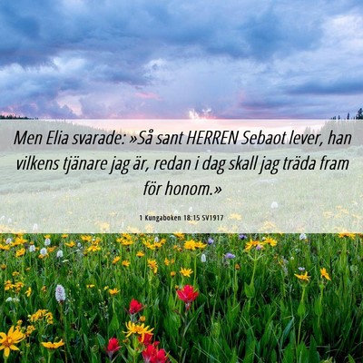 Picture 06 - 1 Kungaboken 18:15 SV1917 - Men Elia svarade: »Så sant HERREN Sebaot lever, - Bible Verse Picture
