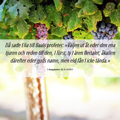 Picture 06 - 1 Kungaboken 18:25 SV1917 - Då sade Elia till Baals profeter: »Väljen ut - Bible Verse Picture