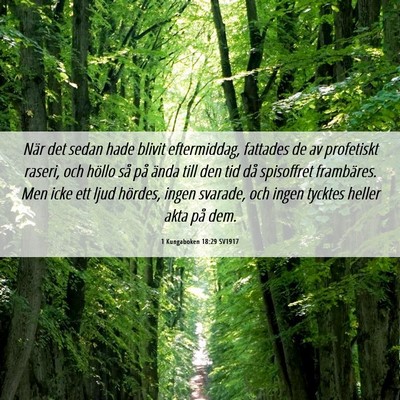 Picture 06 - 1 Kungaboken 18:29 SV1917 - När det sedan hade blivit eftermiddag, fattades - Bible Verse Picture