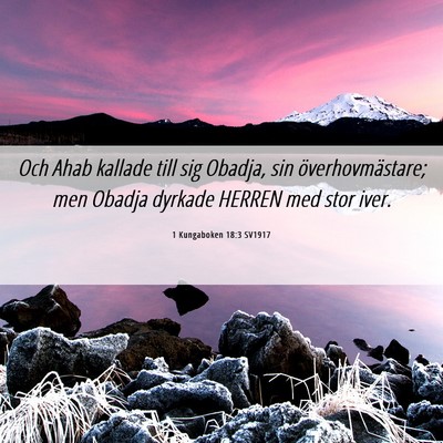 Picture 06 - 1 Kungaboken 18:3 SV1917 - Och Ahab kallade till sig Obadja, sin - Bible Verse Picture