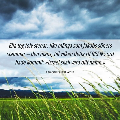 Picture 06 - 1 Kungaboken 18:31 SV1917 - Elia tog tolv stenar, lika många som Jakobs - Bible Verse Picture