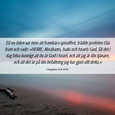 Picture 06 - 1 Kungaboken 18:36 SV1917 - Då nu tiden var inne att frambära spisoffret, - Bible Verse Picture