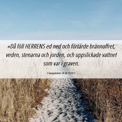 Picture 06 - 1 Kungaboken 18:38 SV1917 - »Då föll HERRENS ed ned och förtärde - Bible Verse Picture