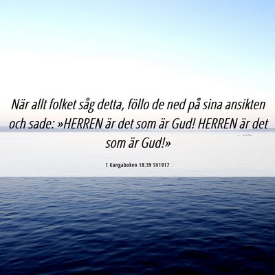 Picture 06 - 1 Kungaboken 18:39 SV1917 - När allt folket såg detta, föllo de ned på - Bible Verse Picture