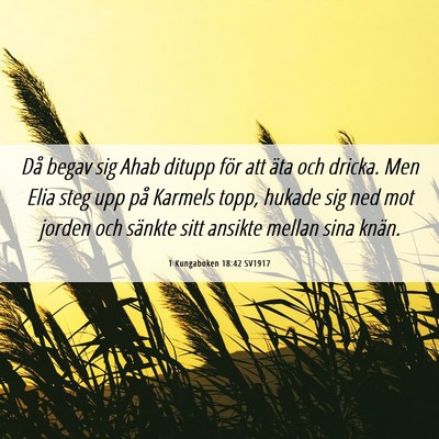 Picture 06 - 1 Kungaboken 18:42 SV1917 - Då begav sig Ahab ditupp för att äta och - Bible Verse Picture