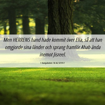 Picture 06 - 1 Kungaboken 18:46 SV1917 - Men HERRENS hand hade kommit över Elia, så att - Bible Verse Picture