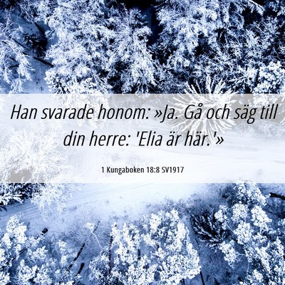Picture 06 - 1 Kungaboken 18:8 SV1917 - Han svarade honom: »Ja. Gå och säg till din - Bible Verse Picture