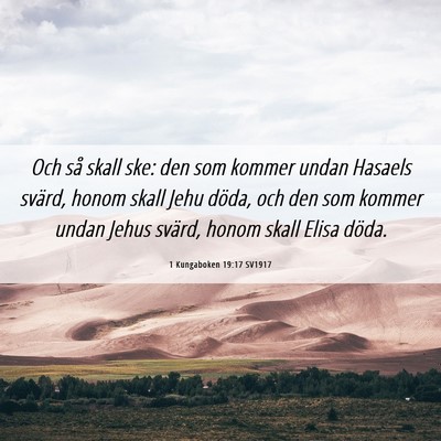 Picture 06 - 1 Kungaboken 19:17 SV1917 - Och så skall ske: den som kommer undan Hasaels - Bible Verse Picture
