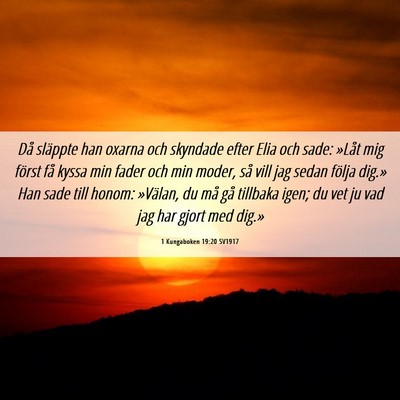 Picture 06 - 1 Kungaboken 19:20 SV1917 - Då släppte han oxarna och skyndade efter Elia - Bible Verse Picture