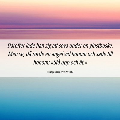 Picture 06 - 1 Kungaboken 19:5 SV1917 - Därefter lade han sig att sova under en - Bible Verse Picture