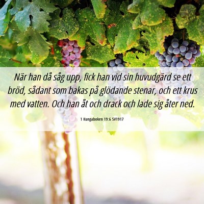 Picture 06 - 1 Kungaboken 19:6 SV1917 - När han då såg upp, fick han vid sin - Bible Verse Picture