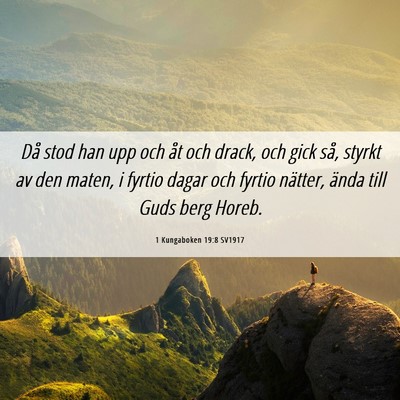 Picture 06 - 1 Kungaboken 19:8 SV1917 - Då stod han upp och åt och drack, och gick så, - Bible Verse Picture