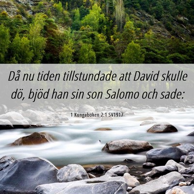 Picture 06 - 1 Kungaboken 2:1 SV1917 - Då nu tiden tillstundade att David skulle dö, - Bible Verse Picture