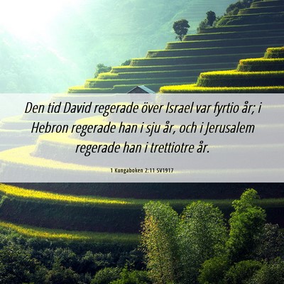 Picture 06 - 1 Kungaboken 2:11 SV1917 - Den tid David regerade över Israel var fyrtio - Bible Verse Picture