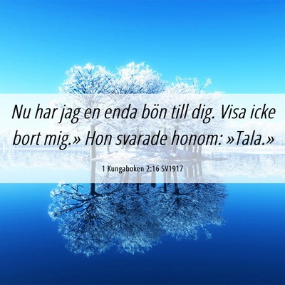 Picture 06 - 1 Kungaboken 2:16 SV1917 - Nu har jag en enda bön till dig. Visa icke bort - Bible Verse Picture