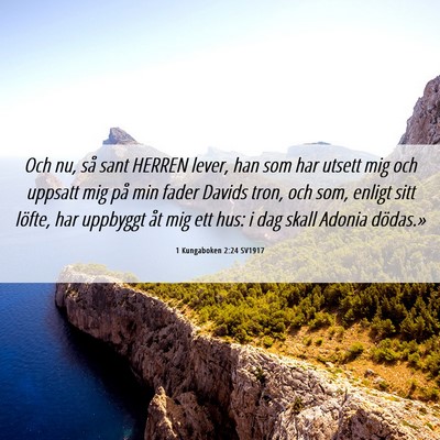 Picture 06 - 1 Kungaboken 2:24 SV1917 - Och nu, så sant HERREN lever, han som har utsett - Bible Verse Picture