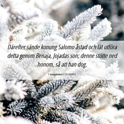 Picture 06 - 1 Kungaboken 2:25 SV1917 - Därefter sände konung Salomo åstad och lät - Bible Verse Picture