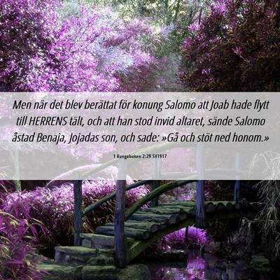 Picture 06 - 1 Kungaboken 2:29 SV1917 - Men när det blev berättat för konung Salomo - Bible Verse Picture