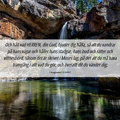 Picture 06 - 1 Kungaboken 2:3 SV1917 - Och håll vad HERREN, din Gud, bjuder dig hålla, - Bible Verse Picture