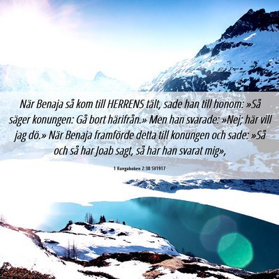 Picture 06 - 1 Kungaboken 2:30 SV1917 - När Benaja så kom till HERRENS tält, sade han - Bible Verse Picture