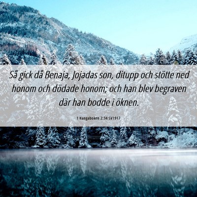 Picture 06 - 1 Kungaboken 2:34 SV1917 - Så gick då Benaja, Jojadas son, ditupp och - Bible Verse Picture