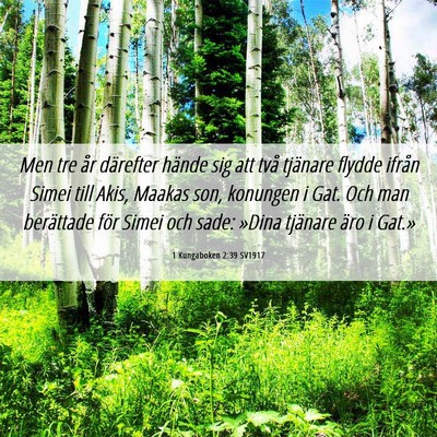 Picture 06 - 1 Kungaboken 2:39 SV1917 - Men tre år därefter hände sig att två - Bible Verse Picture
