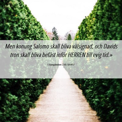 Picture 06 - 1 Kungaboken 2:45 SV1917 - Men konung Salomo skall bliva välsignad, och - Bible Verse Picture