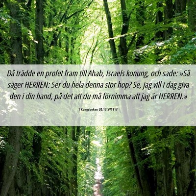 Picture 06 - 1 Kungaboken 20:13 SV1917 - Då trädde en profet fram till Ahab, Israels - Bible Verse Picture