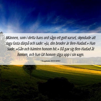 Picture 06 - 1 Kungaboken 20:33 SV1917 - Männen, som i detta hans ord sågo ett gott - Bible Verse Picture