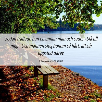 Picture 06 - 1 Kungaboken 20:37 SV1917 - Sedan träffade han en annan man och sade: »Slå - Bible Verse Picture