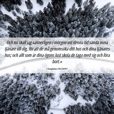 Picture 06 - 1 Kungaboken 20:6 SV1917 - Och nu skall jag sannerligen i morgon vid denna - Bible Verse Picture