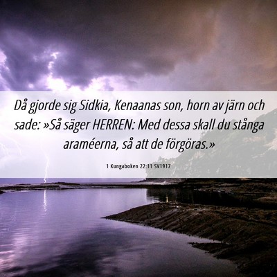 Picture 06 - 1 Kungaboken 22:11 SV1917 - Då gjorde sig Sidkia, Kenaanas son, horn av - Bible Verse Picture