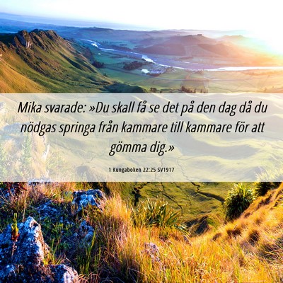 Picture 06 - 1 Kungaboken 22:25 SV1917 - Mika svarade: »Du skall få se det på den dag - Bible Verse Picture