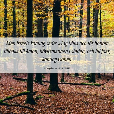 Picture 06 - 1 Kungaboken 22:26 SV1917 - Men Israels konung sade: »Tag Mika och för - Bible Verse Picture