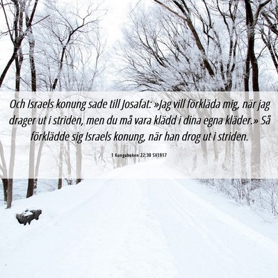 Picture 06 - 1 Kungaboken 22:30 SV1917 - Och Israels konung sade till Josafat: »Jag vill - Bible Verse Picture