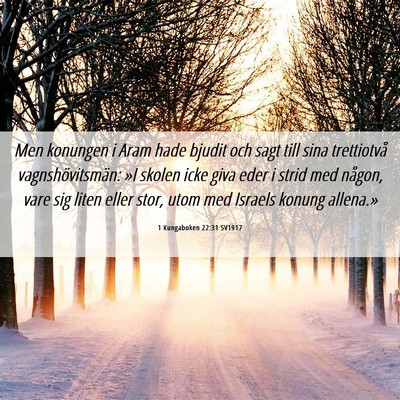 Picture 06 - 1 Kungaboken 22:31 SV1917 - Men konungen i Aram hade bjudit och sagt till - Bible Verse Picture