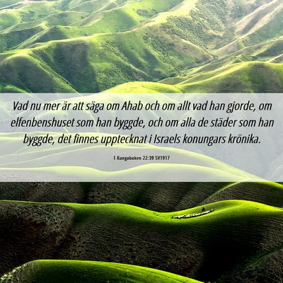 Picture 06 - 1 Kungaboken 22:39 SV1917 - Vad nu mer är att säga om Ahab och om allt vad - Bible Verse Picture