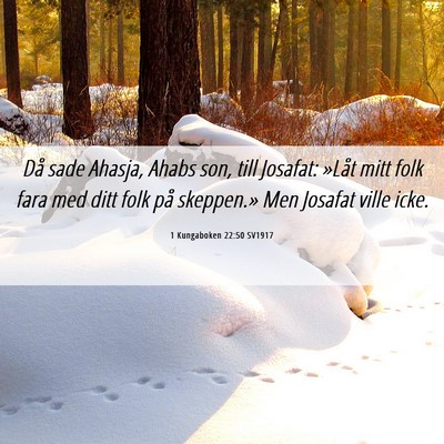 Picture 06 - 1 Kungaboken 22:50 SV1917 - Då sade Ahasja, Ahabs son, till Josafat: »Låt - Bible Verse Picture