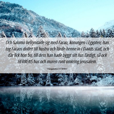 Picture 06 - 1 Kungaboken 3:1 SV1917 - Och Salomo befryndade sig med Farao, konungen i - Bible Verse Picture