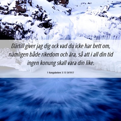 Picture 06 - 1 Kungaboken 3:13 SV1917 - Därtill giver jag dig ock vad du icke har bett - Bible Verse Picture