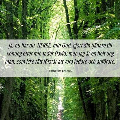 Picture 06 - 1 Kungaboken 3:7 SV1917 - Ja, nu har du, HERRE, min Gud, gjort din tjänare - Bible Verse Picture