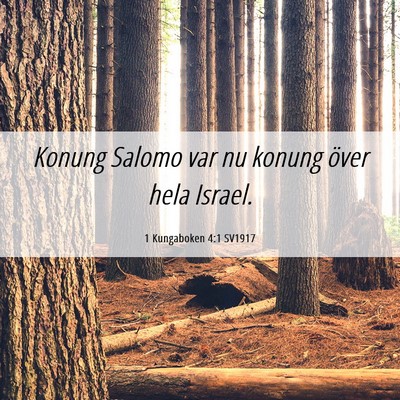Picture 06 - 1 Kungaboken 4:1 SV1917 - Konung Salomo var nu konung över hela - Bible Verse Picture