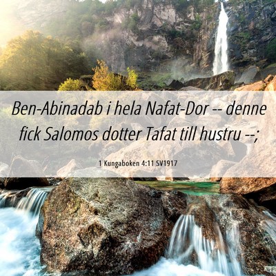 Picture 06 - 1 Kungaboken 4:11 SV1917 - Ben-Abinadab i hela Nafat-Dor -- denne fick - Bible Verse Picture
