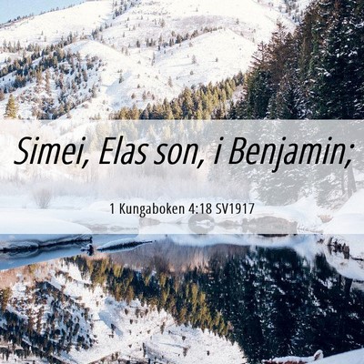 Picture 06 - 1 Kungaboken 4:18 SV1917 - Simei, Elas son, i - Bible Verse Picture