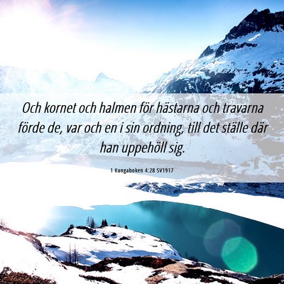 Picture 06 - 1 Kungaboken 4:28 SV1917 - Och kornet och halmen för hästarna och travarna - Bible Verse Picture