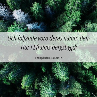Picture 06 - 1 Kungaboken 4:8 SV1917 - Och följande voro deras namn: Ben-Hur i Efraims - Bible Verse Picture