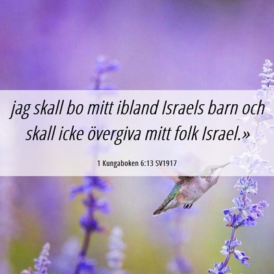 Picture 06 - 1 Kungaboken 6:13 SV1917 - jag skall bo mitt ibland Israels barn och skall - Bible Verse Picture