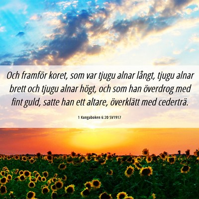 Picture 06 - 1 Kungaboken 6:20 SV1917 - Och framför koret, som var tjugu alnar långt, - Bible Verse Picture