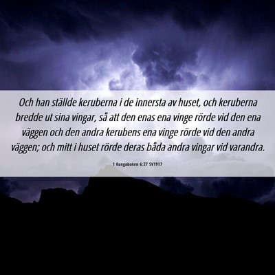 Picture 06 - 1 Kungaboken 6:27 SV1917 - Och han ställde keruberna i de innersta av - Bible Verse Picture