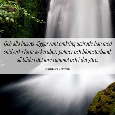 Picture 06 - 1 Kungaboken 6:29 SV1917 - Och alla husets väggar runt omkring utsirade han - Bible Verse Picture